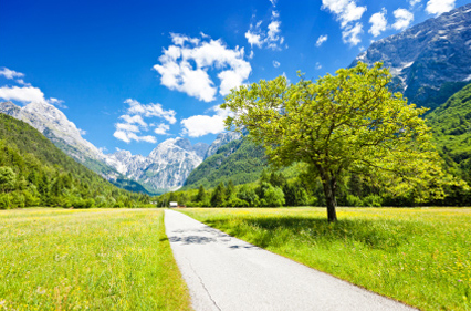 Guidance through compliance and certification process